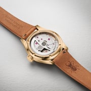 Wings of Hope Gold Limited Edition - 01 401 7782 6081-Set | Oris